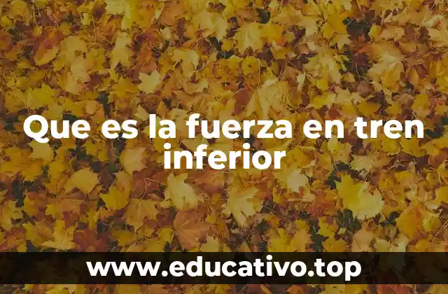 Que es la fuerza en tren inferior