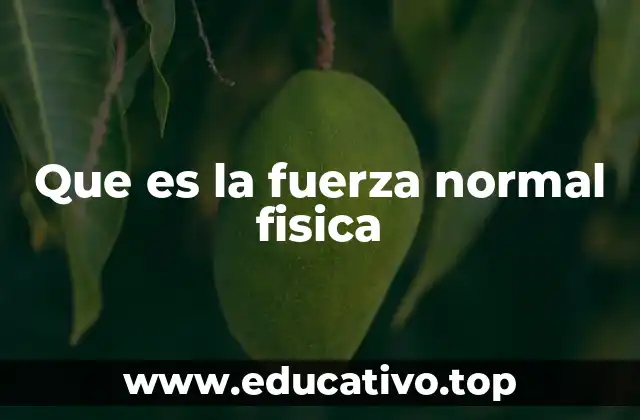 Que es la fuerza normal fisica