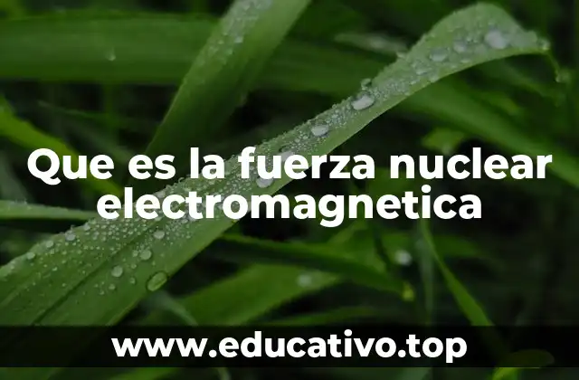 Que es la fuerza nuclear electromagnetica