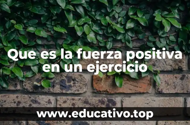 Que es la fuerza positiva en un ejercicio