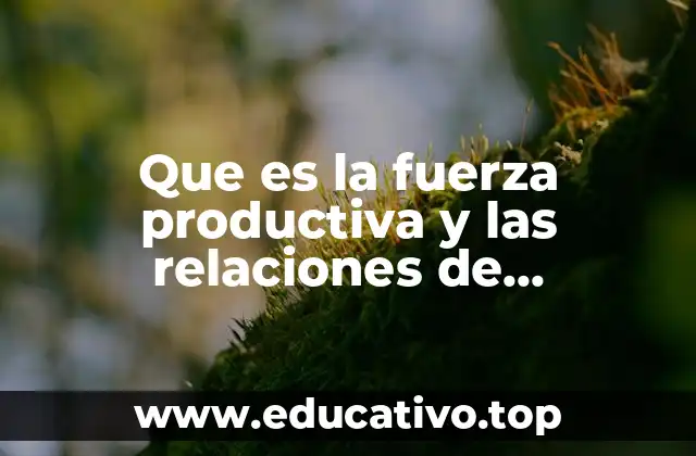 Que es la fuerza productiva y las relaciones de produccion