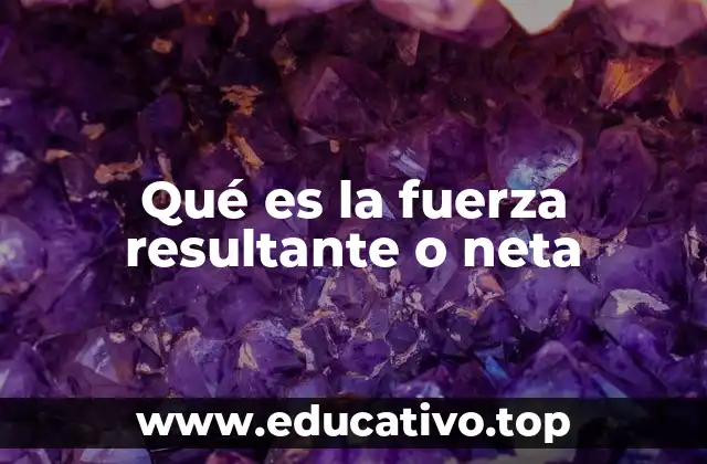 Qué es la fuerza resultante o neta