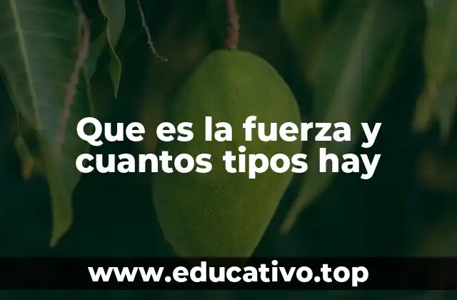 Que es la fuerza y cuantos tipos hay