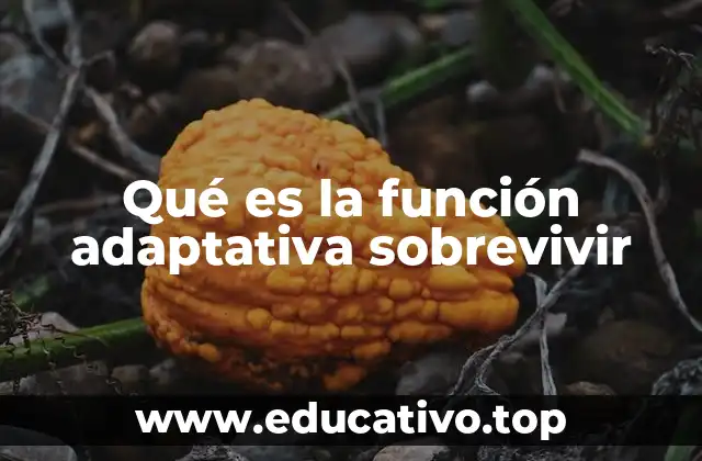 Qué es la función adaptativa sobrevivir