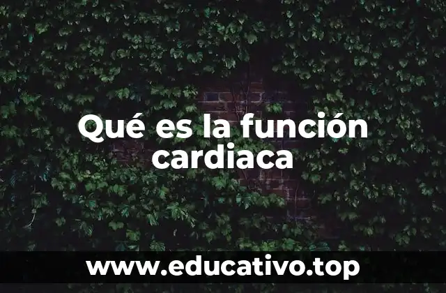 Qué es la función cardiaca