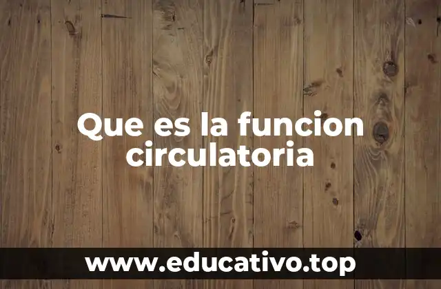 Que es la funcion circulatoria