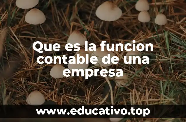Que es la funcion contable de una empresa