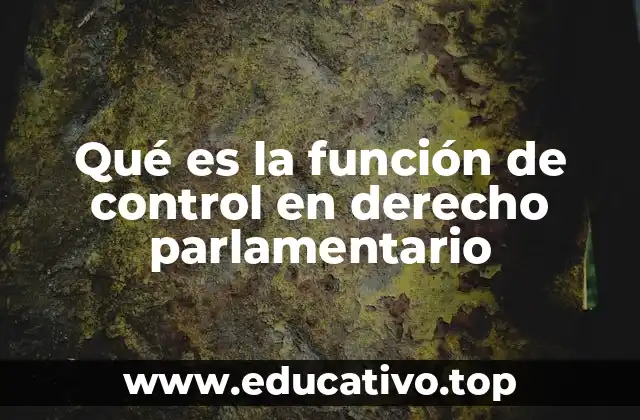 Qué es la función de control en derecho parlamentario