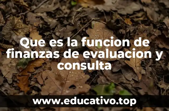 Que es la funcion de finanzas de evaluacion y consulta