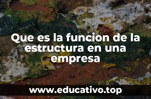 Que es la funcion de la estructura en una empresa