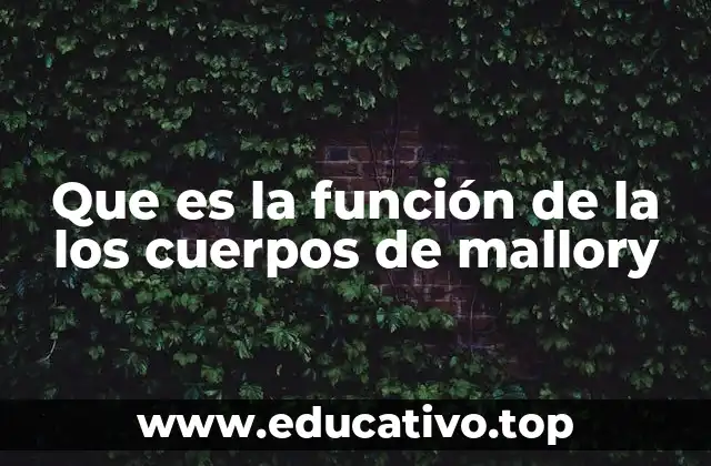 Significado clínico de los cuerpos de Mallory