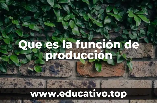 Que es la función de producción