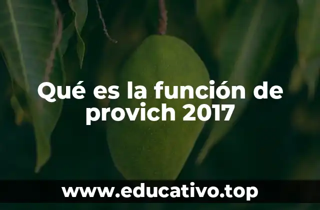 Qué es la función de provich 2017
