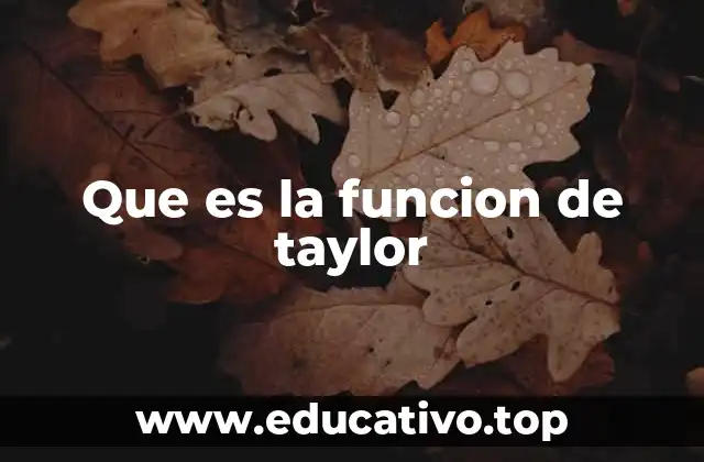 Que es la funcion de taylor