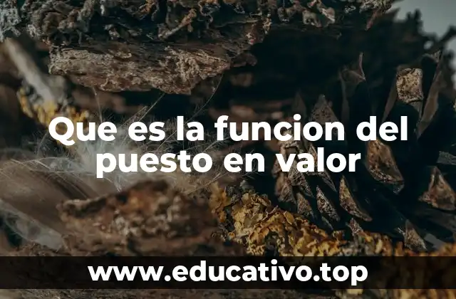 Que es la funcion del puesto en valor