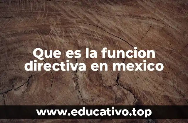 Que es la funcion directiva en mexico