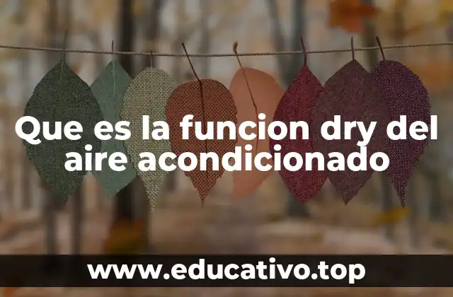 Que es la funcion dry del aire acondicionado