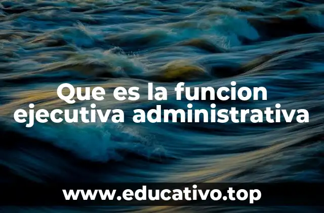 Que es la funcion ejecutiva administrativa