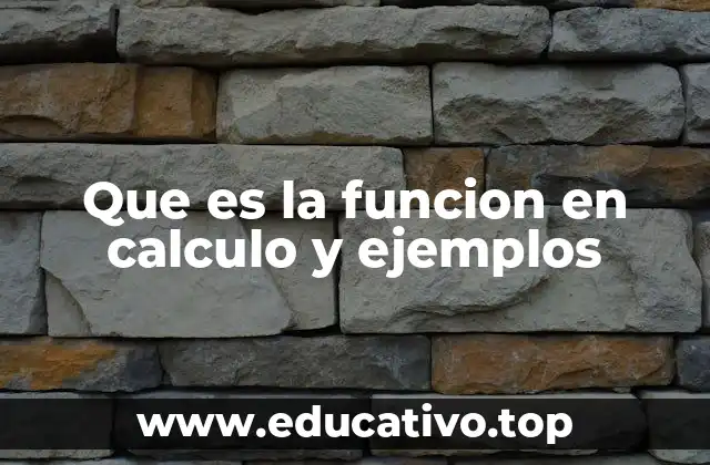 Que es la funcion en calculo y ejemplos