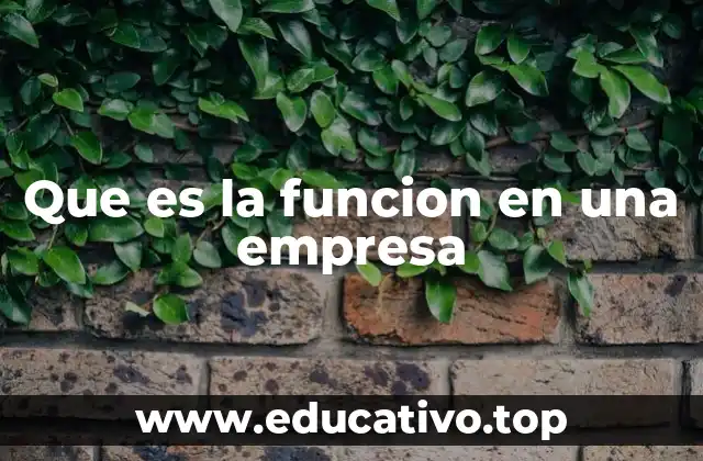 Que es la funcion en una empresa