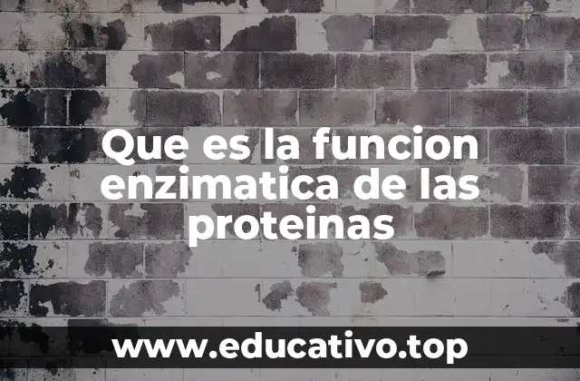 Que es la funcion enzimatica de las proteinas