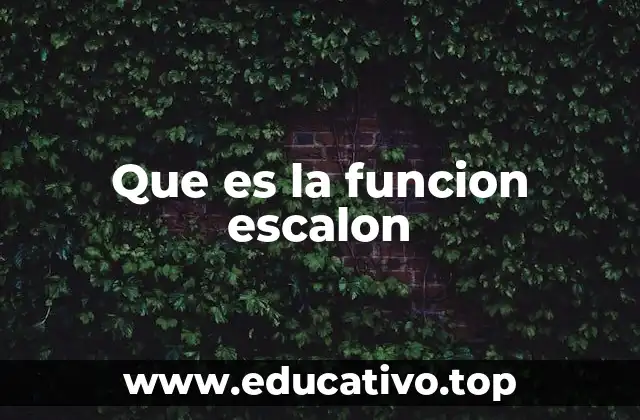 Que es la funcion escalon