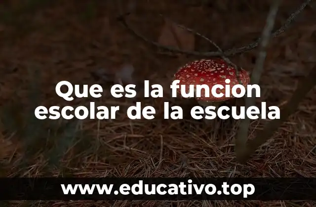 Que es la funcion escolar de la escuela
