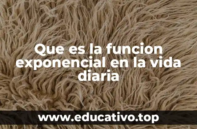 Que es la funcion exponencial en la vida diaria