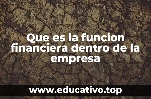 Que es la funcion financiera dentro de la empresa