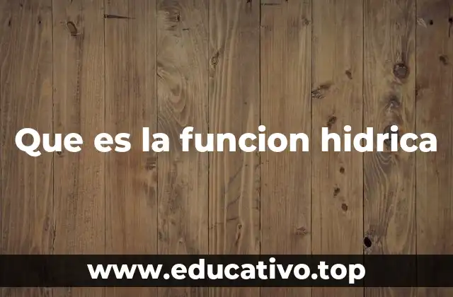 Que es la funcion hidrica