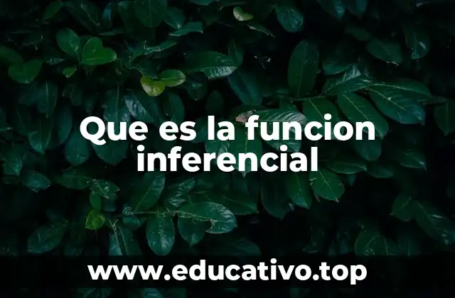 Que es la funcion inferencial