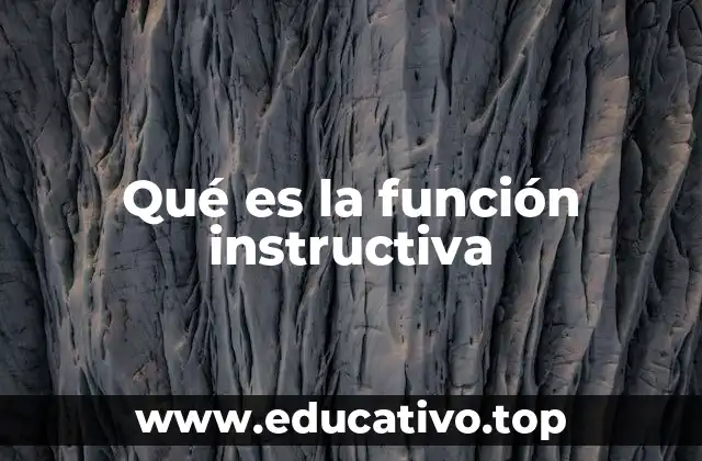 Qué es la función instructiva