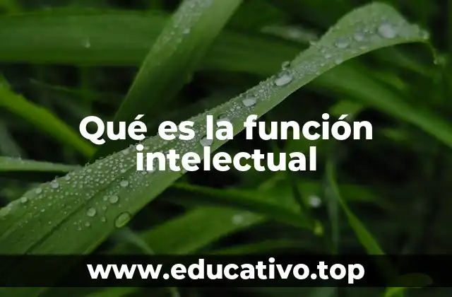 Qué es la función intelectual