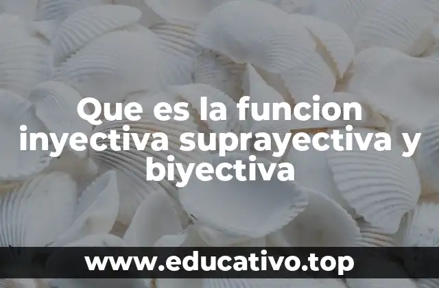 Que es la funcion inyectiva suprayectiva y biyectiva