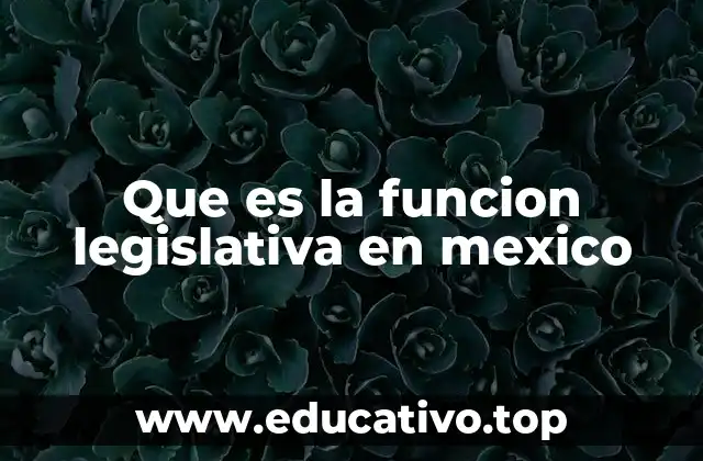 El papel del Congreso de la Unión en la organización del Estado