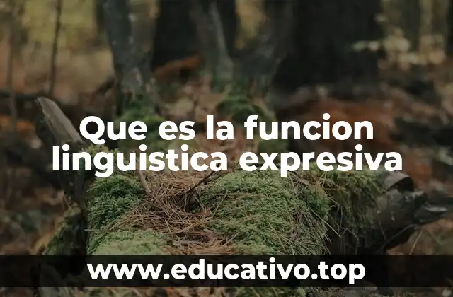 El rol del lenguaje en la expresión emocional