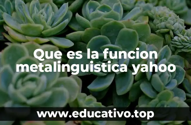 Que es la funcion metalinguistica yahoo