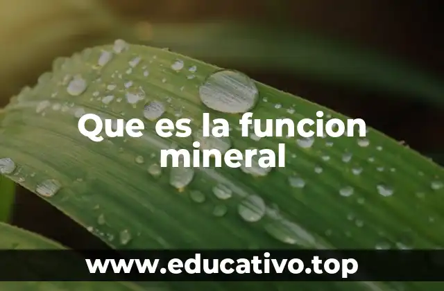 Que es la funcion mineral