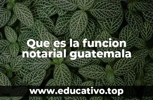 Que es la funcion notarial guatemala