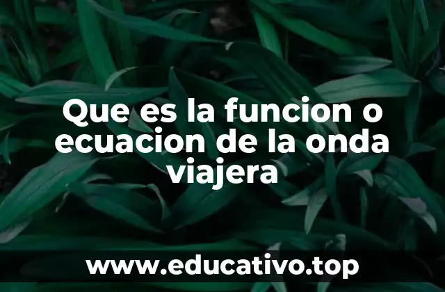 Que es la funcion o ecuacion de la onda viajera