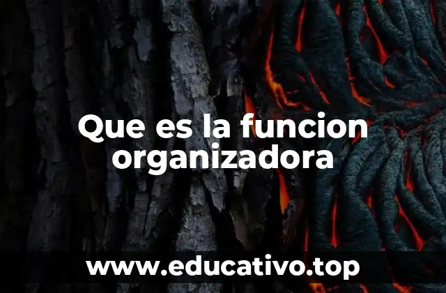 Que es la funcion organizadora