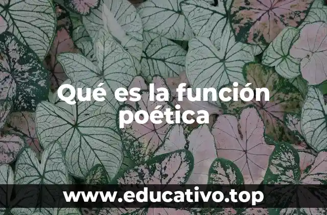 Qué es la función poética