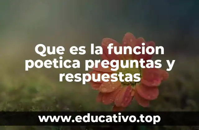 El lenguaje en la función poética