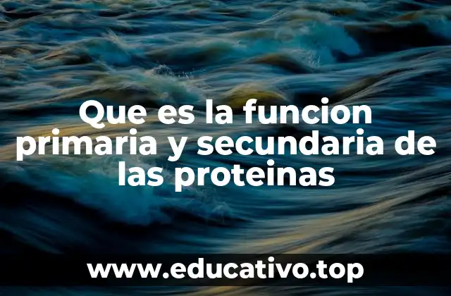 Que es la funcion primaria y secundaria de las proteinas