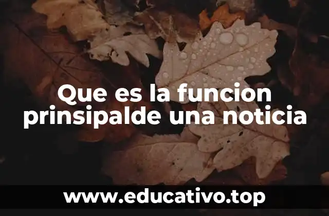 Que es la funcion prinsipalde una noticia