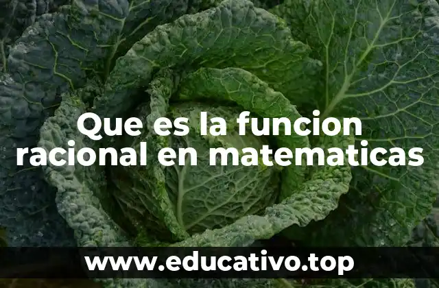 Que es la funcion racional en matematicas