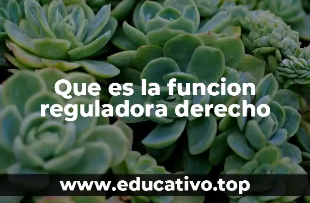 Que es la funcion reguladora derecho