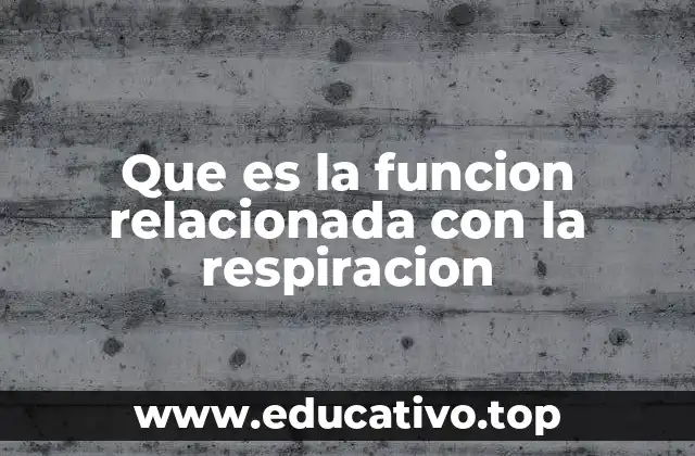 Que es la funcion relacionada con la respiracion