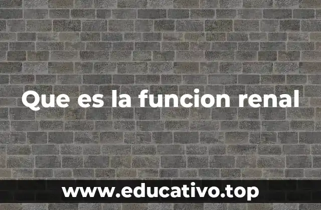 Que es la funcion renal