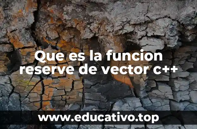 Que es la funcion reserve de vector c++